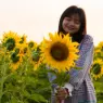 Woman smiling in sunflower field at sunset.